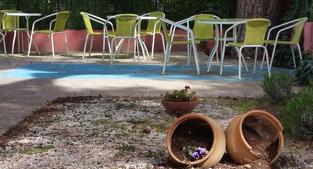 Hostal Aravaca Garden Madrid Exterior photo